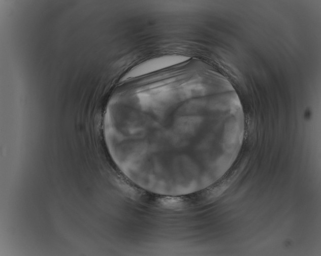 X0000094220189200711241730