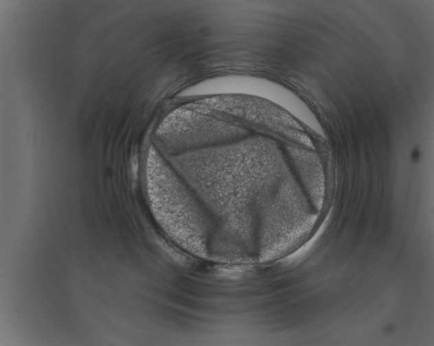 X0000094220190200711241730