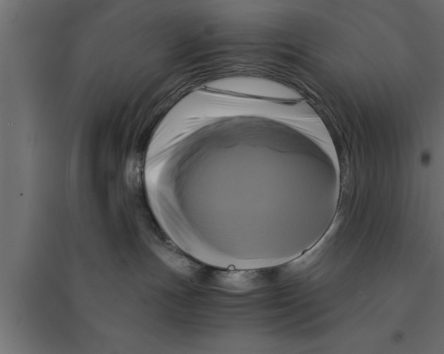 X0000094220191200711241730