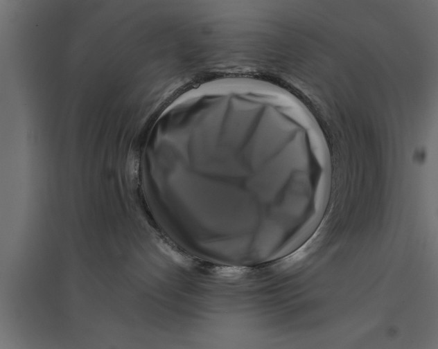 X0000094220192200711241730