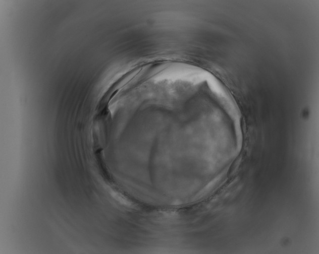 X0000094220194200711241729