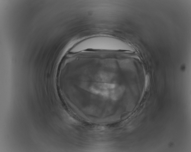 X0000094220195200711241729