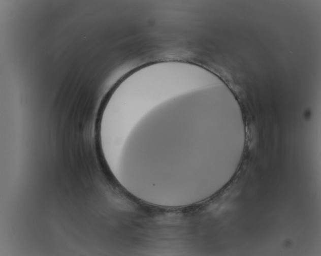 X0000094220196200711241729