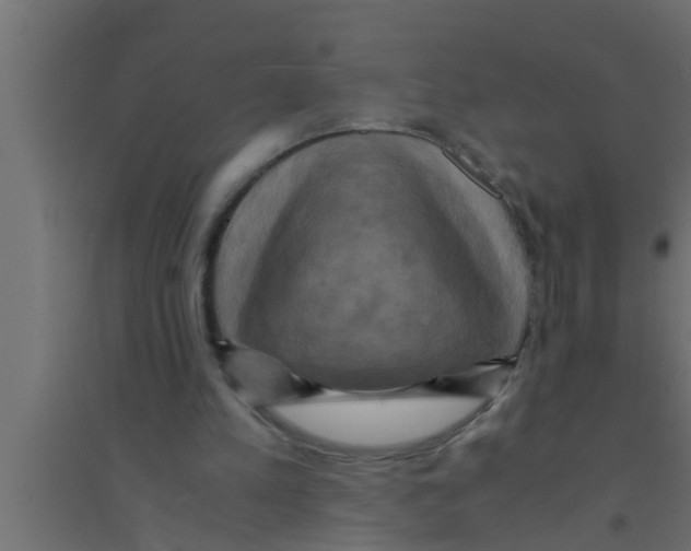 X0000094220197200711241729