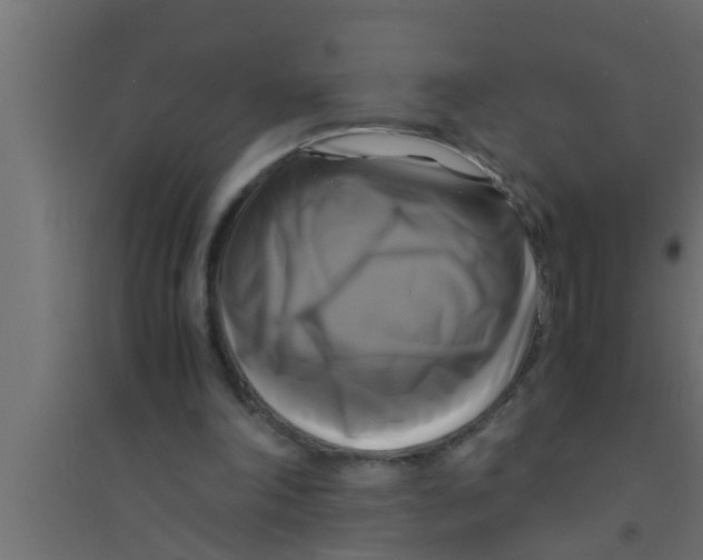 X0000094220198200711241729