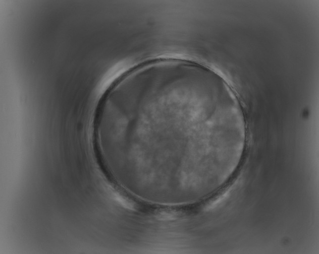 X0000094220199200711241729