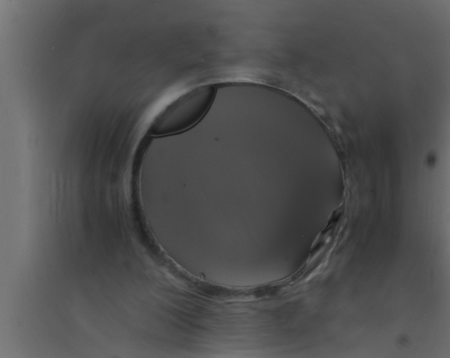 X0000094220200200711241729
