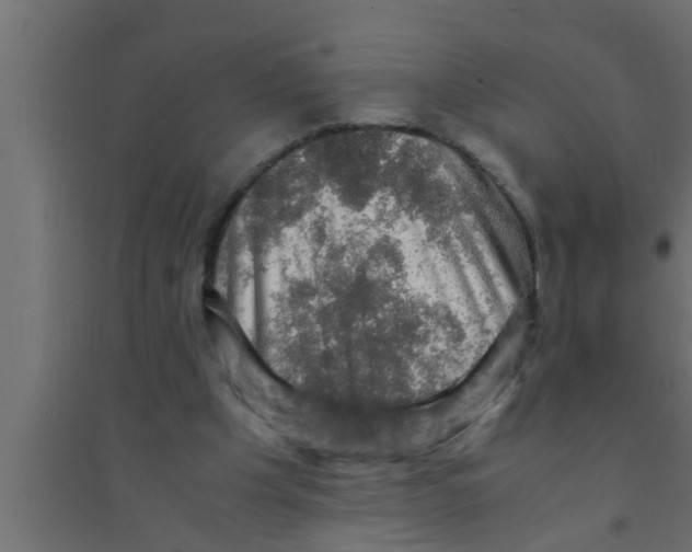 X0000094220201200711241729