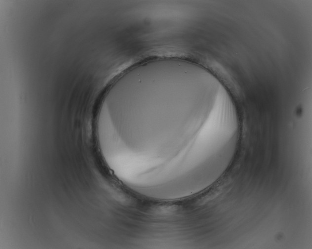 X0000094220202200711241729