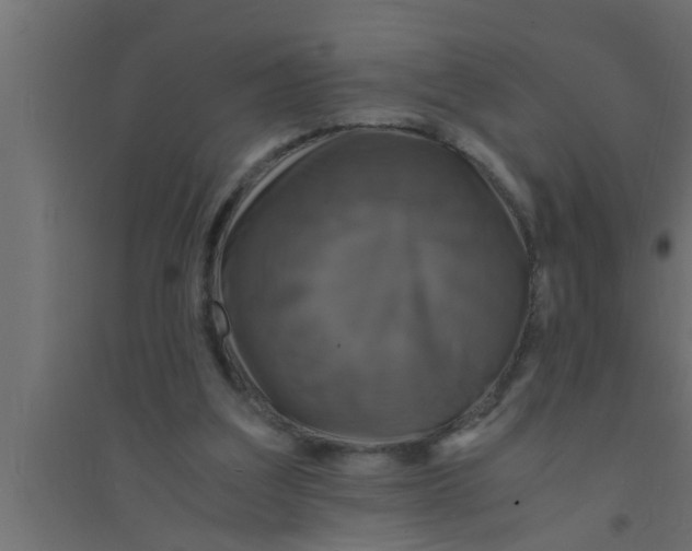 X0000094220203200711241729