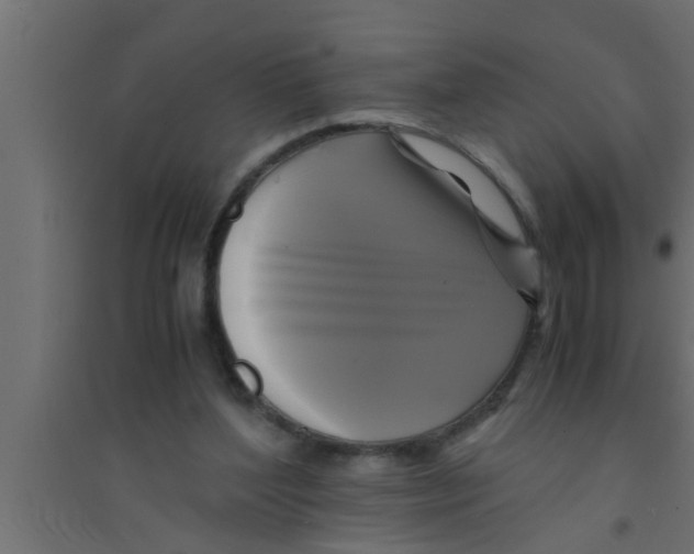 X0000094220204200711241729