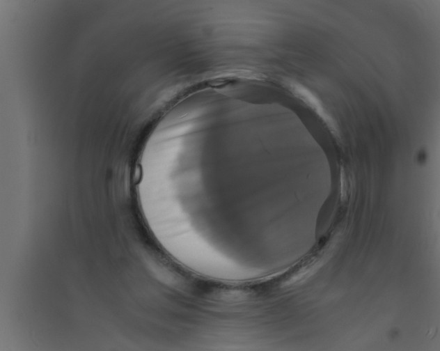X0000094220205200711241729