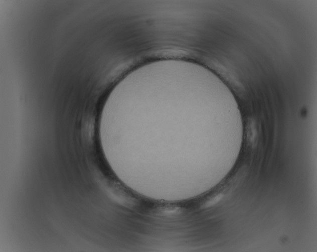 X0000094220206200711241729
