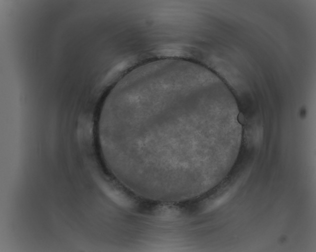X0000094220207200711241729