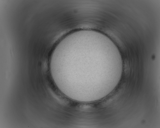 X0000094220208200711241729