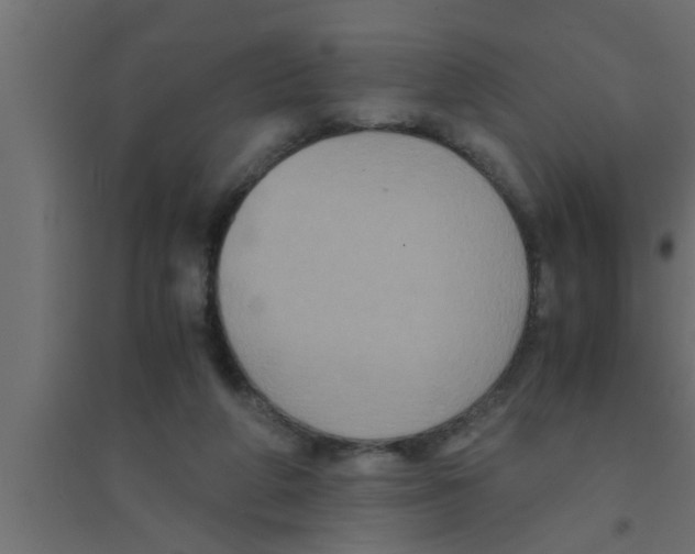 X0000094220210200711241729