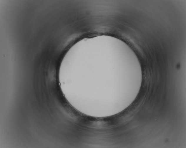 X0000094220212200711241729