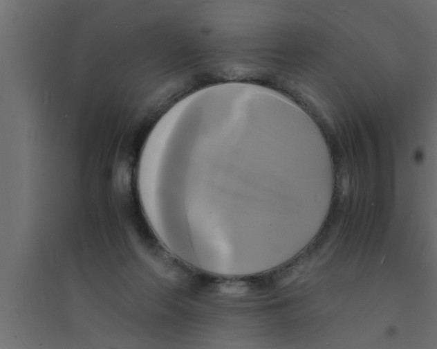 X0000094220214200711241729
