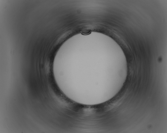 X0000094220216200711241729