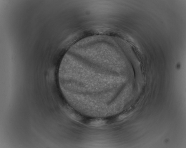X0000094220217200711241729
