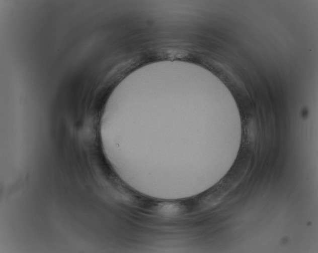 X0000094220218200711241729