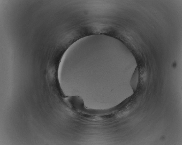 X0000094220219200711241729