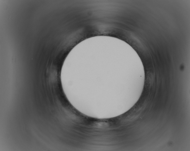 X0000094220220200711241729