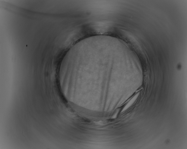 X0000094220221200711241729