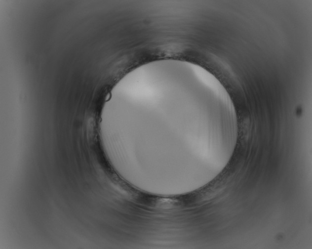 X0000094220222200711241729