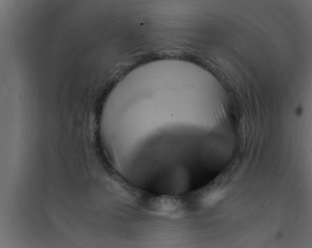X0000094220223200711241729