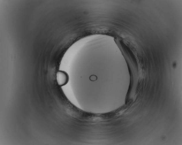 X0000094220224200711241729
