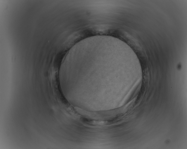 X0000094220225200711241729
