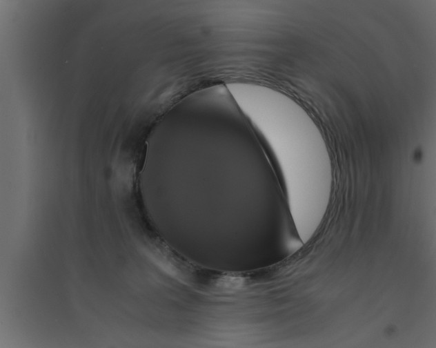 X0000094220227200711241729
