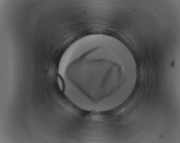 X0000094220228200711241729