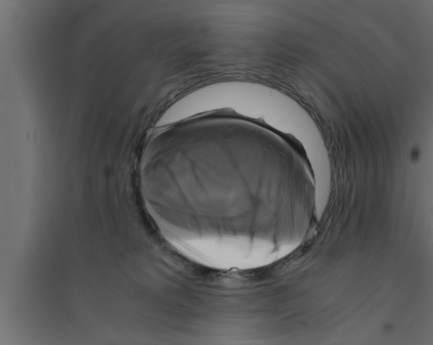 X0000094220229200711241729