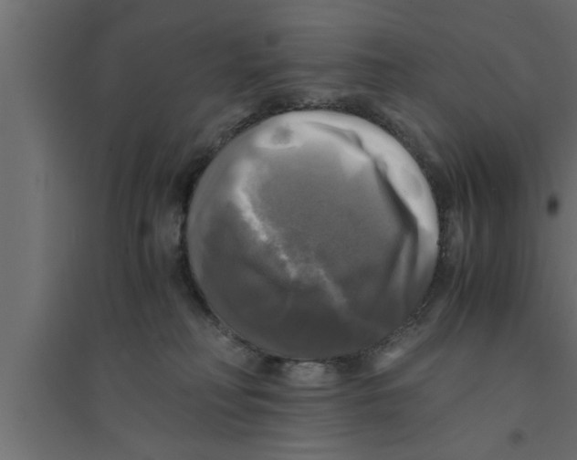 X0000094220230200711241729