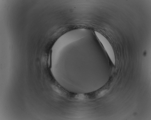 X0000094220231200711241729