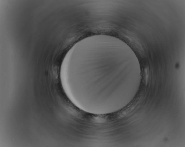 X0000094220232200711241729