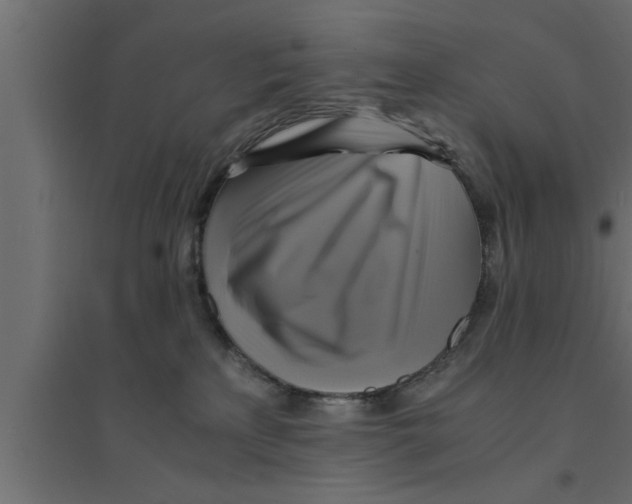 X0000094220233200711241729