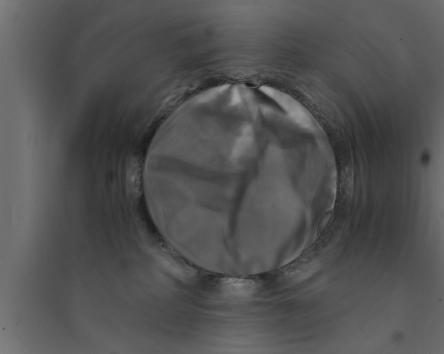 X0000094220234200711241729