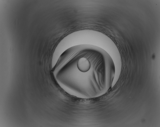 X0000094220235200711241729