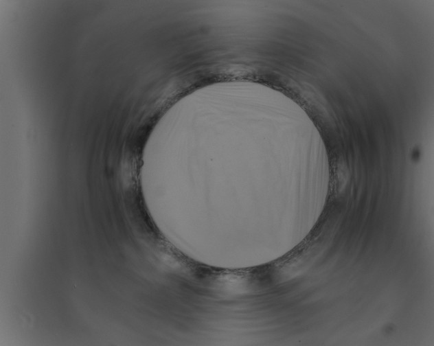 X0000094220236200711241729