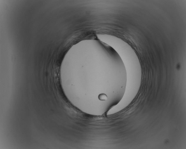 X0000094220237200711241729