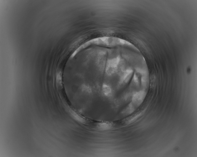 X0000094220238200711241729