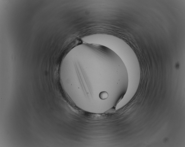 X0000094220239200711241729