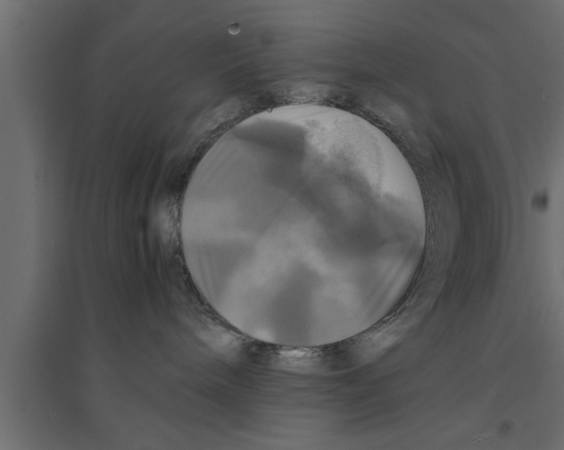 X0000094220240200711241729