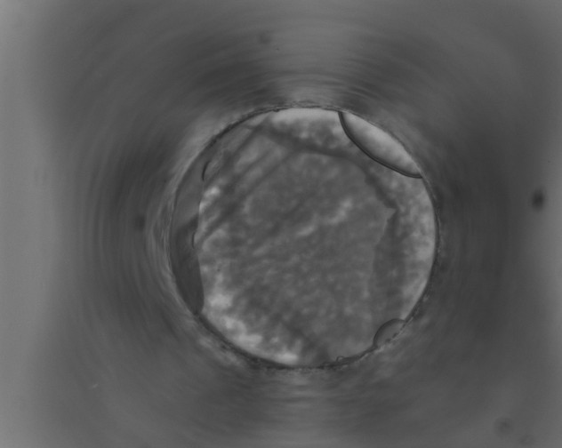 X0000094220241200711241728