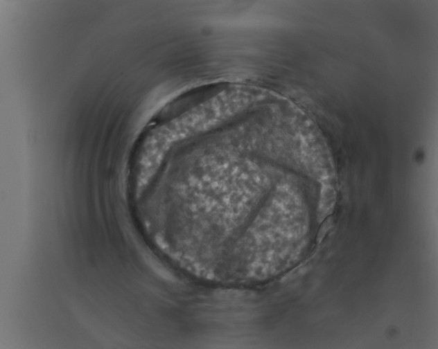 X0000094220242200711241728