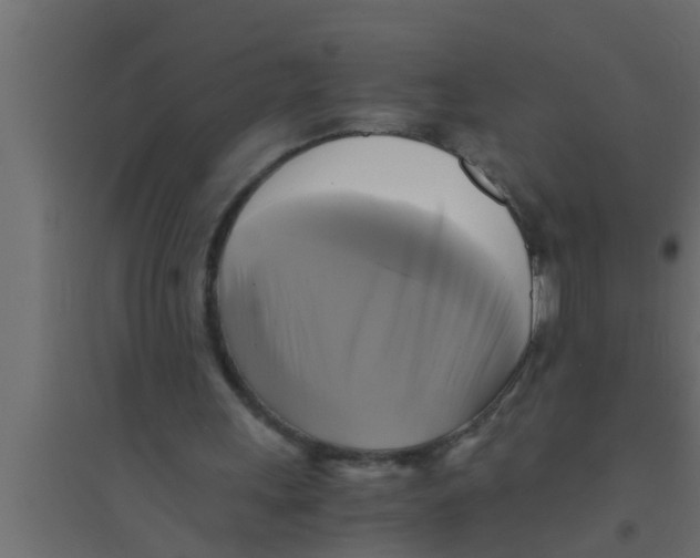 X0000094220243200711241728