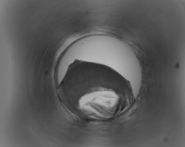 X0000094220244200711241728